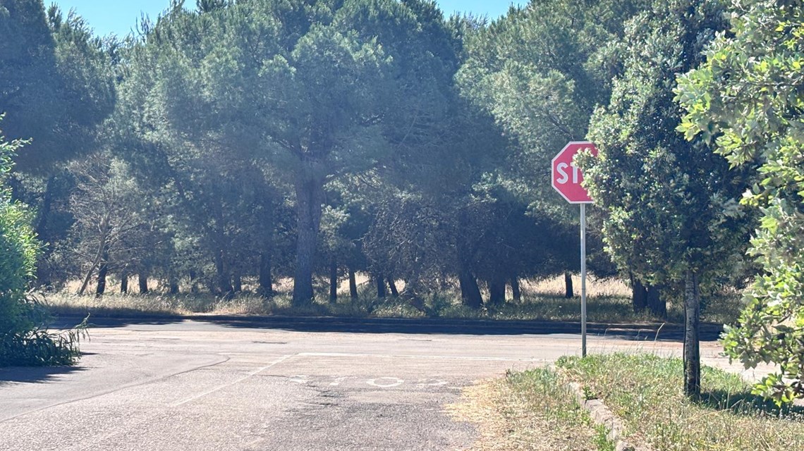 Foto 14